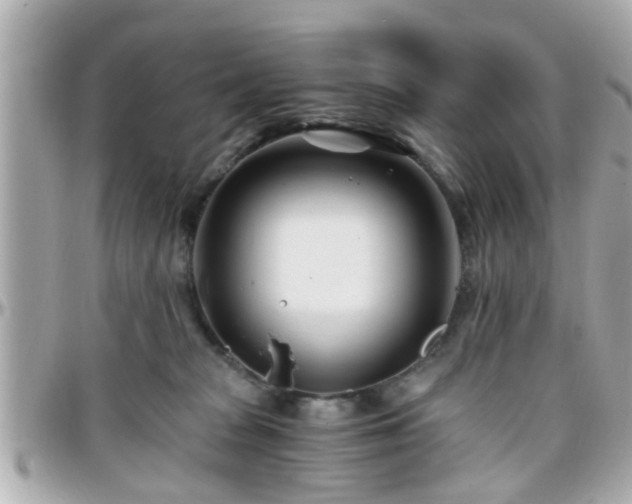 X0000096200277200801251019