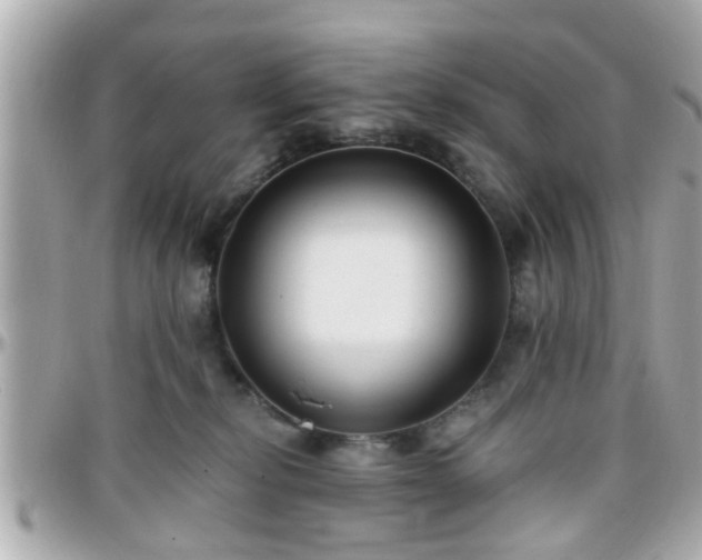 X0000096200278200801251019