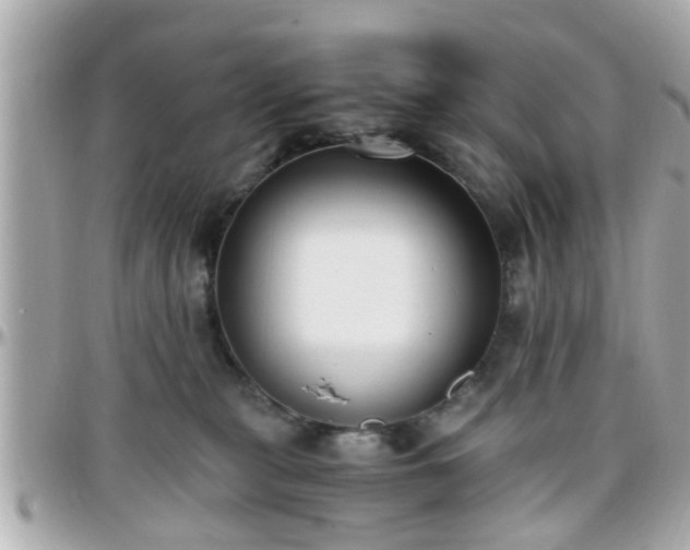 X0000096200279200801251019