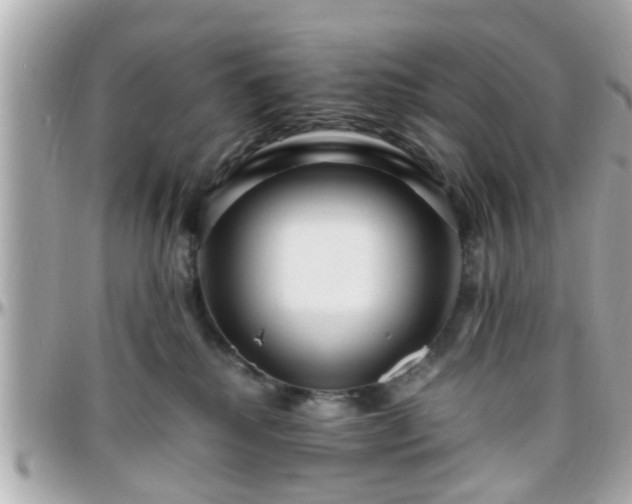 X0000096200280200801251019