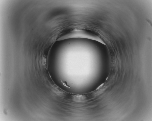 X0000096200281200801251019