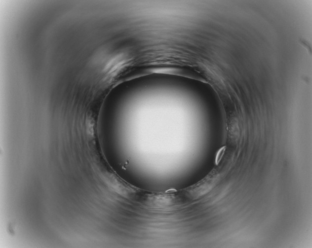 X0000096200282200801251019