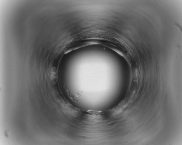 X0000096200284200801251019