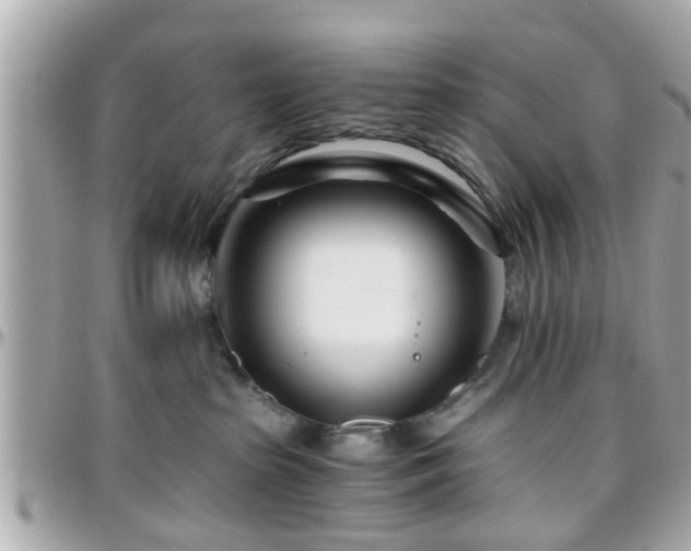 X0000096200285200801251019