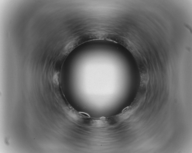 X0000096200286200801251019