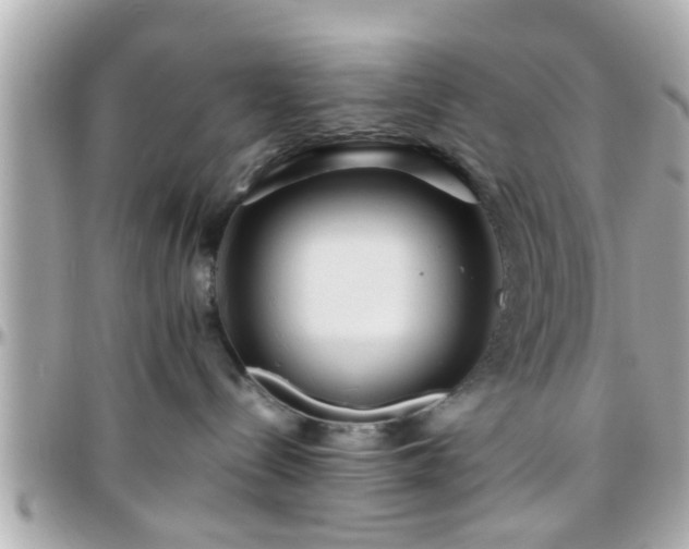 X0000096200288200801251019