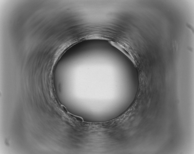 X0000096200289200801251018