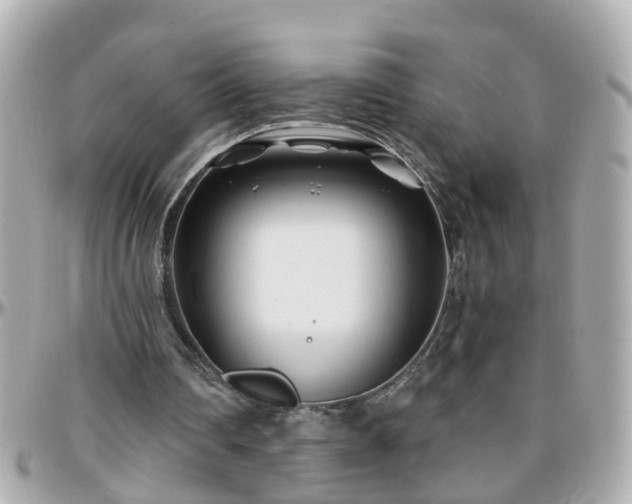 X0000096200290200801251018