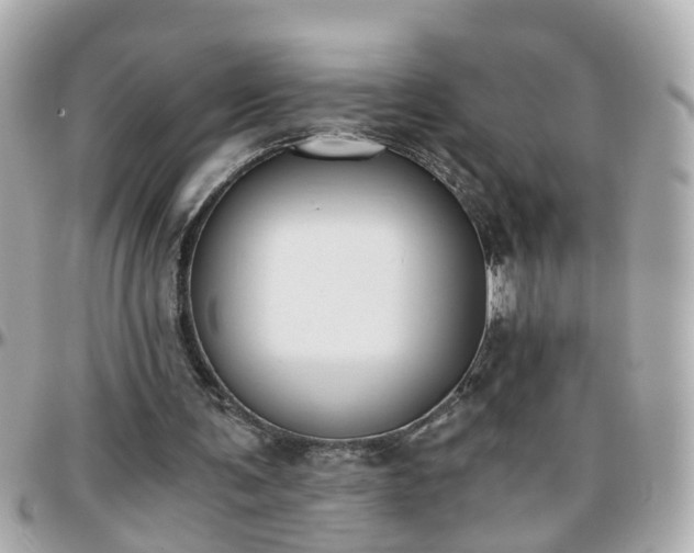 X0000096200291200801251018