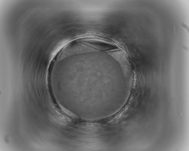 X0000096200292200801251018