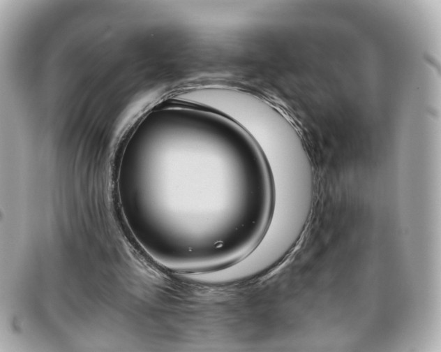 X0000096200293200801251018