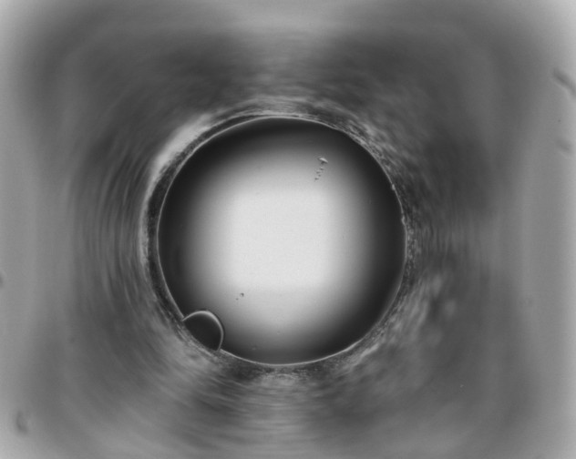 X0000096200294200801251018