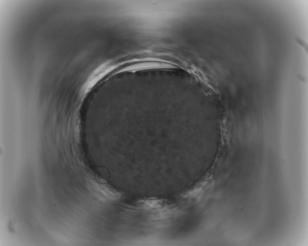 X0000096200295200801251018