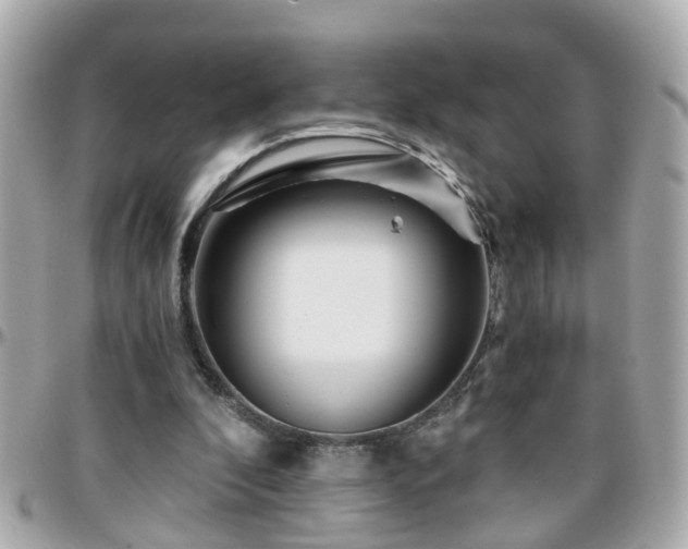 X0000096200296200801251018