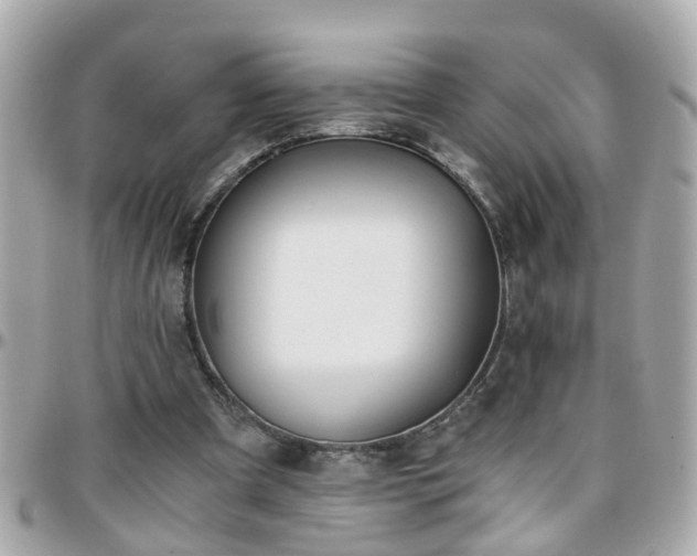 X0000096200297200801251018