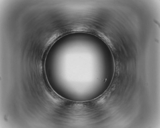 X0000096200298200801251018