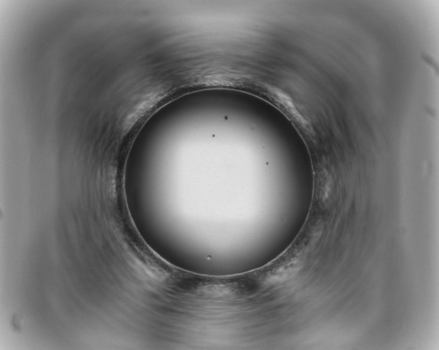 X0000096200299200801251018