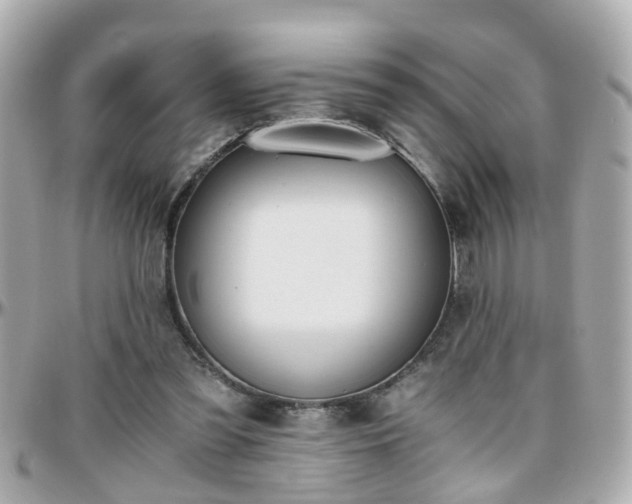 X0000096200301200801251018