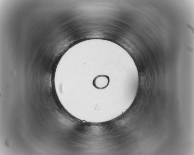 X0000096200302200801251018