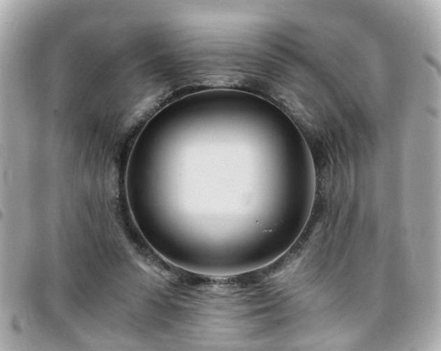 X0000096200303200801251018