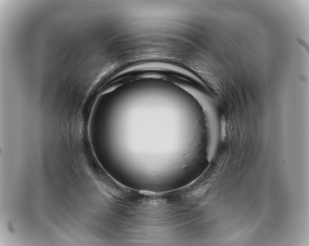 X0000096200304200801251018