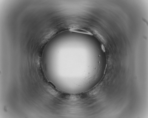 X0000096200305200801251018