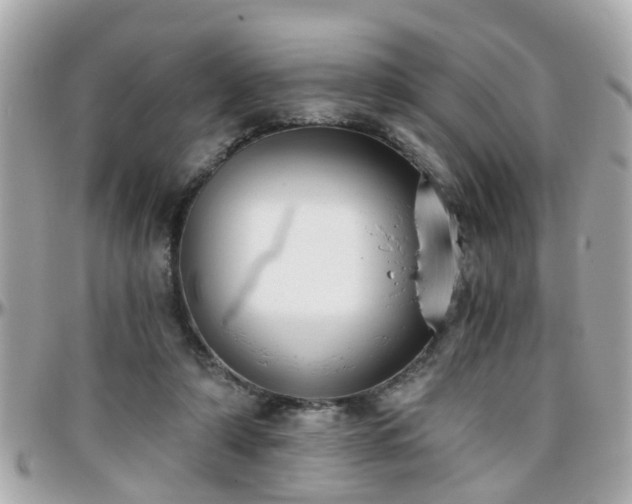 X0000096200306200801251018