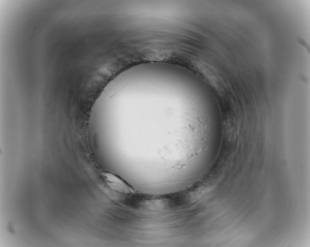 X0000096200307200801251018