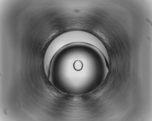 X0000096200308200801251018