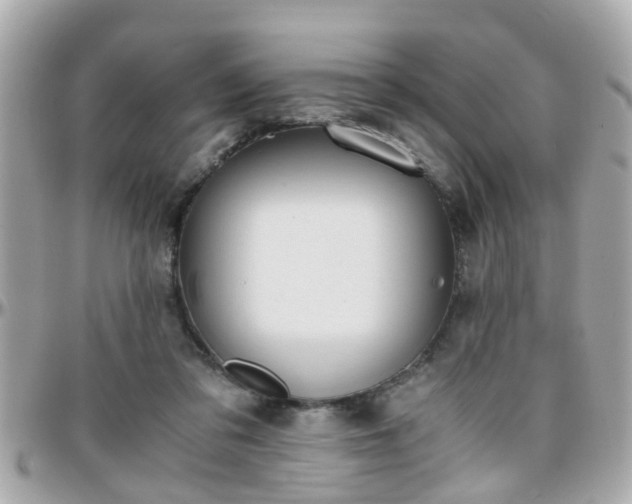 X0000096200309200801251018