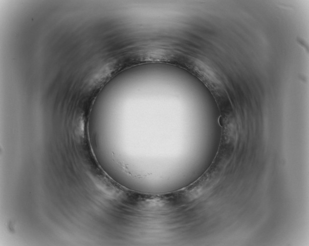 X0000096200310200801251018