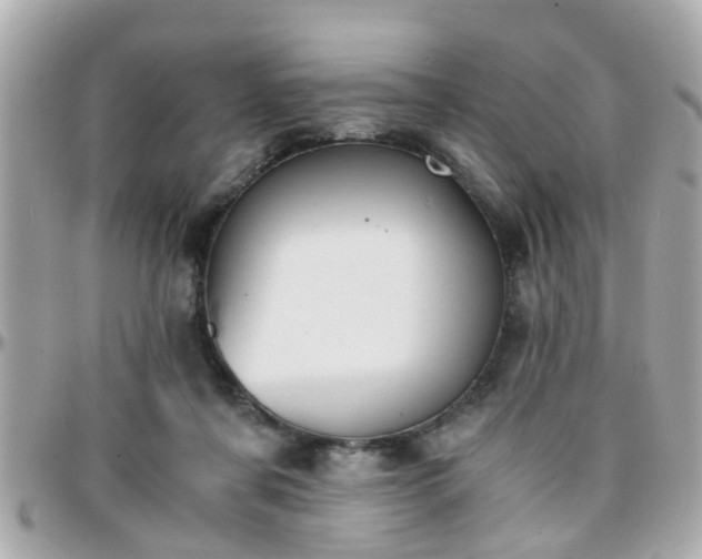 X0000096200311200801251018