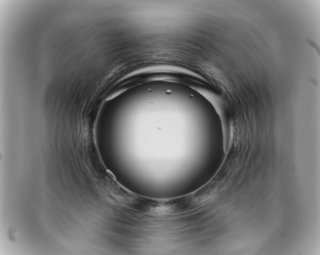 X0000096200312200801251018