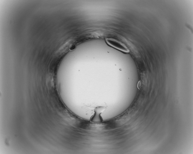 X0000096200313200801251018