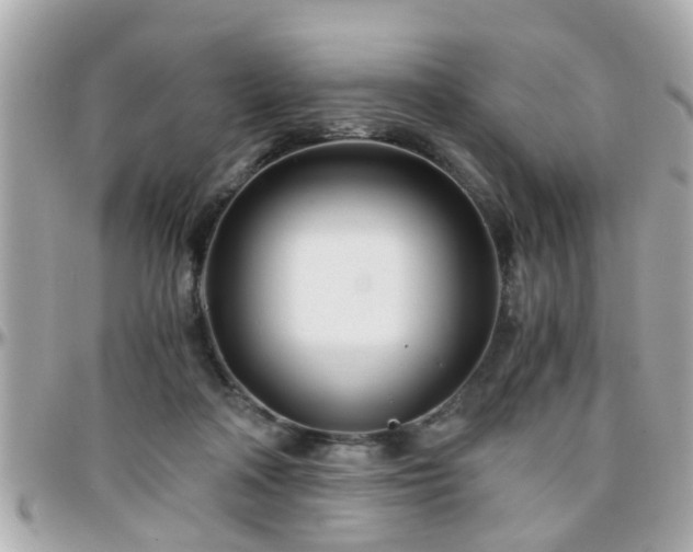 X0000096200314200801251018