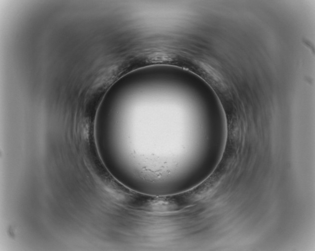 X0000096200315200801251018