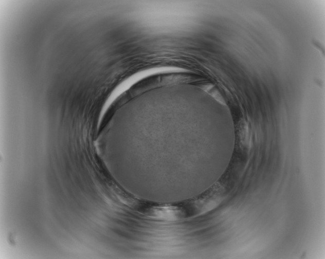 X0000096200316200801251018