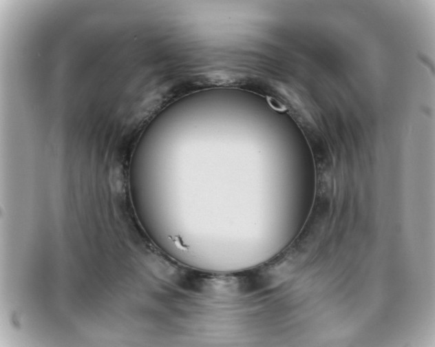 X0000096200317200801251018