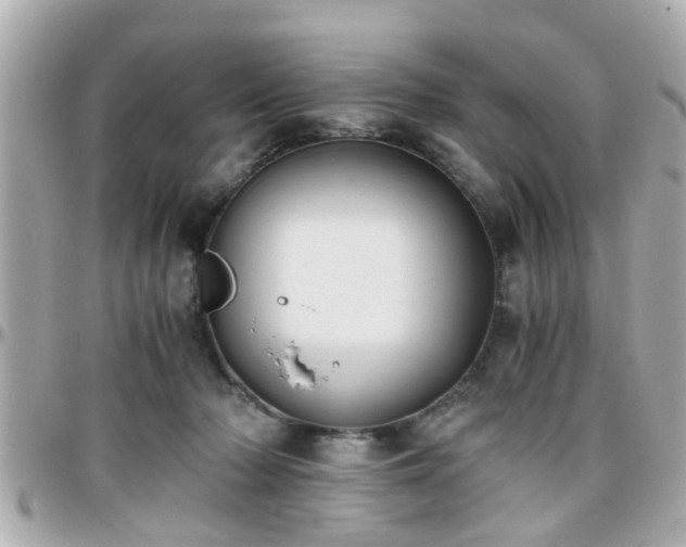 X0000096200318200801251018