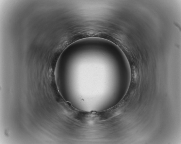 X0000096200319200801251018