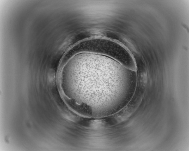 X0000096200320200801251018