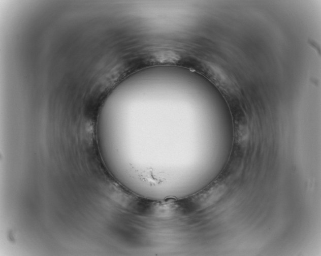 X0000096200321200801251018