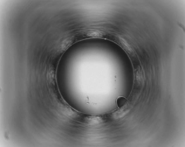 X0000096200322200801251018