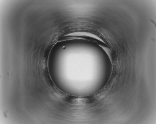 X0000096200323200801251018