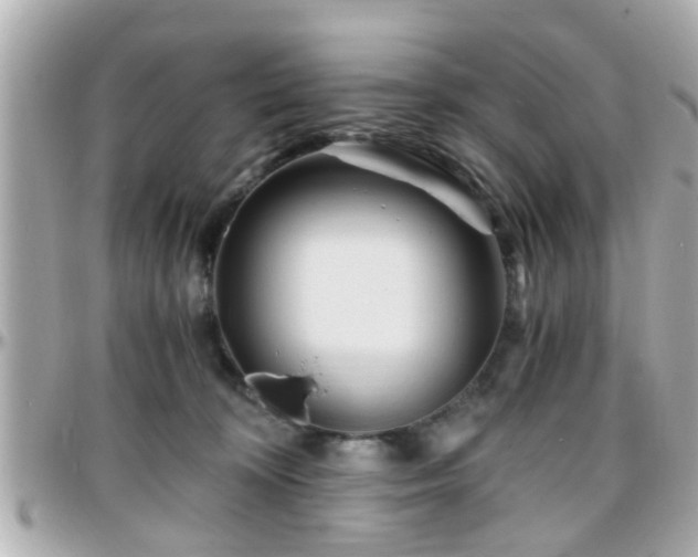 X0000096200324200801251018