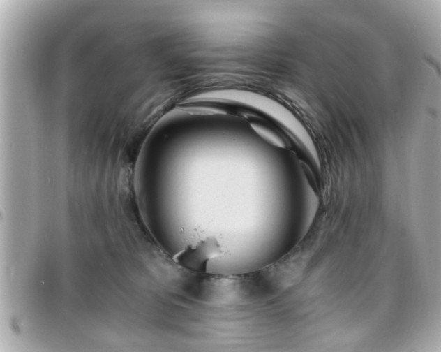 X0000096200325200801251018