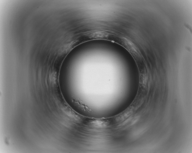 X0000096200326200801251018