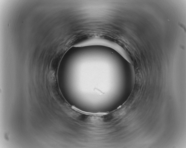 X0000096200327200801251018