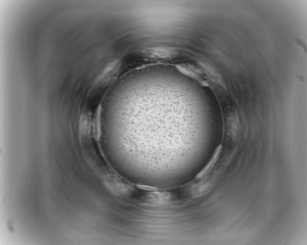 X0000096200328200801251018