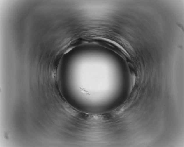 X0000096200329200801251018